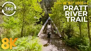 360° VR Forest Walk along Pratt River Trail - 8K Summer Nature Scenery and Forest Sounds