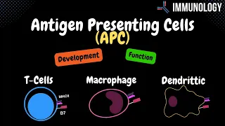 Antigen Presenting Cells (B-cells, Macrophages and Dendritic Cells) | Immunology