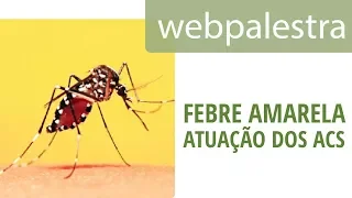 Webpalestra - Atuação dos ACS no combate à febre amarela