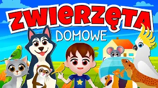 Kazio i ZWIERZĘTA DOMOWE dla dzieci 🐱 Film edukacyjny | Bajka o zwierzętach domowych