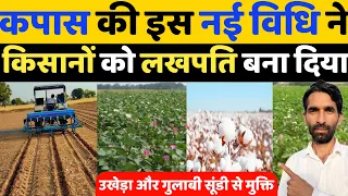 कपास खेती की इस नई विधी से होगी रिकोर्ड पैदावार | Kapas ki kheti kaise kare | Kapas ki kheti |Cotton
