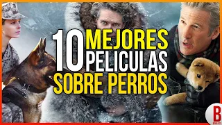 TOP 10 MEJORES PELÍCULAS DE PERROS | Películas Que Te Harán Llorar