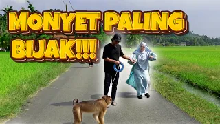 Monyet Serang Isteri Zukie!!!