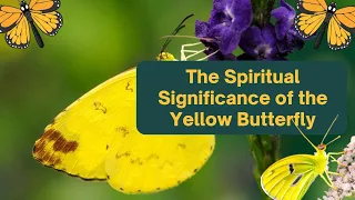 The Spiritual Significance of the Yellow Butterfly