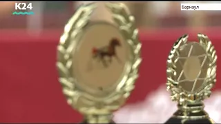 Лучшие лошади и мастера-наездники соревновались за Кубок Губернатора Алтайского края