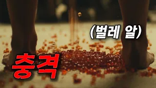 휴양지에서 벌레에 물린 뒤로 알을 낳게 된 여자(영화리뷰/결말포함)(공포영화)