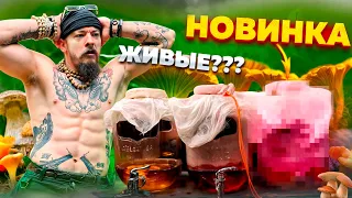 ГОТОВИМ ВИННЫЙ ГРИБ // КАК ПОЖИВАЮТ ОСТАЛЬНЫЕ???