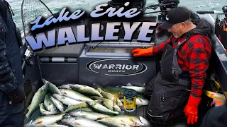 Catching PILES of WALLEYE on Lake Erie