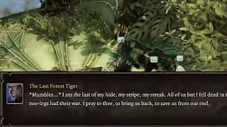 The Last Forest Tiger