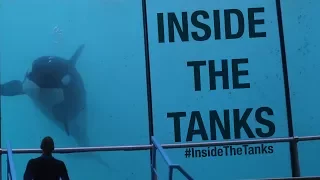 Inside The Tanks Documentary (Trailer)