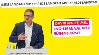 LNG-Terminal vor Rügens Küste | David Wulff, MdL FDP-Fraktion | Drucksache 8/3467 Landtag MV