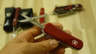 Victorinox Evolution 17 или ножницы у "Wenger" лучше