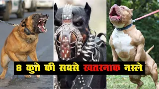 8 Most Dangerous Dog Breeds In The World [hindi] | कुत्ते की 8 सबसे खतरनाक नस्ले |