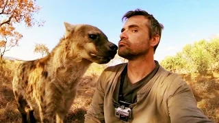 Cet homme est le meilleur ami d'une hyène (Kevin Richardson) - ZAPPING SAUVAGE