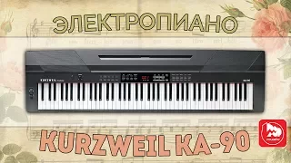 KURZWEIL KA-90 Электропианино, очень доступное