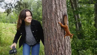 Baby Squirrel’s Release to the Wild doesn’t go to plan