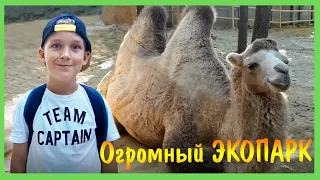 Макс в огромном Зоопарке! Рычание льва, танцующая зебра, тигры, верблюды и много других животных!!!