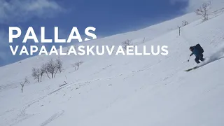 Pallas vapaalaskuvaellus