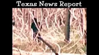 BIGFOOT Evidence ?!!!!? Real Sasquatch Video ? Juvenile Creature True Swamp Monster Proof ?