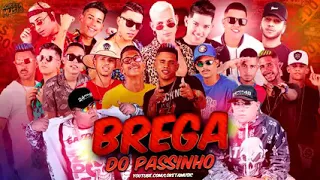 TOP BREGA FUNK 2019 - SELEÇÃO BREGAS DO PASSINHO