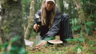 Meet the mycologists aiming to illuminate the hidden world of fungi