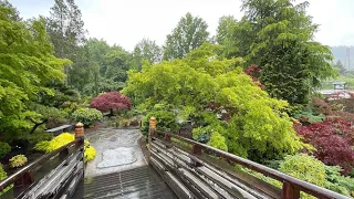 Gresham Oregon Tsuru Island Japanese  Garden—Tour & Review