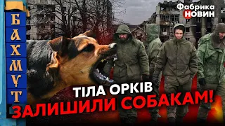 💣БОЄЦЬ КОНОН З БАХМУТА: околиці міста ЗАКИДАЛИ ТРУПАМИ росіян. Гниють просто неба