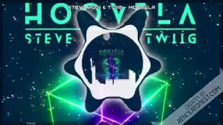 Steve Aoki & TWIIG - Hoovela (Extended Mix)