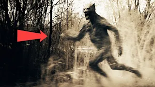 2 Hours Ago: Mysterious CREATURE Loose in National Park
