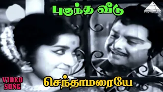 செந்தாமரையே HD Video Song | புகுந்த வீடு | A.V.M ராஜன் | சந்திரகலா | கணேஷ்