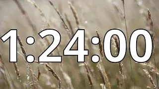 1 Hour 24 Minutes Countdown Timer With Alarm Sound At the End (Simple Beep)
