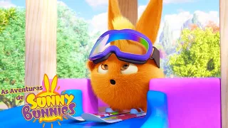 Tobogã de esqui | As Aventuras de Sunny Bunnies | Desenhos Animados Infantis