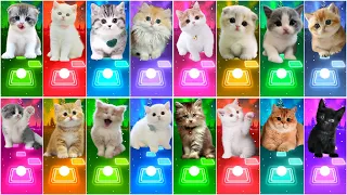 ALL CUTE CATS PT.2 - IMAGINE DRAGONS - WAKA WAKA - BTS - BLACKPINK - SAVAGE LOVE- MAROON 5 TILES HOP