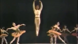 T&V 1st male var 1970s-2010s - Baryshnikov, Ruzimatov, Lormeau, Matvienko, Garon, Guerra,Heymann,Alu