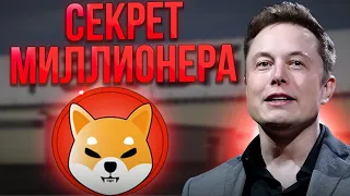 ПОЧЕМУ ИЛОН МАСК ЗЛОЙ НА СЧЕТ ШИБА?! ОТВЕТ ТУТ!