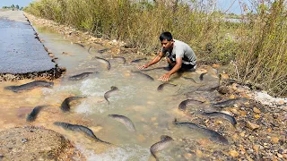 amazing fishing! a fisherman skill catch fish a lots in waterfall by best hand @fan fishing tube