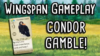 Wingspan Gameplay | Gambling with Condor...