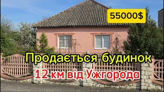 Одноповерховий будинок в 12 км від Ужгорода на ділянці 44 сот,  55000 $ (Закарпатська обл)