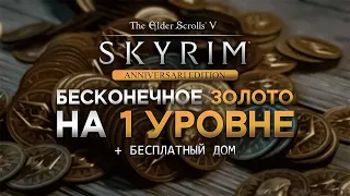 Самый легкий Заработок и Бесплатный дом ДОВАКИНА с 1-го уровня в Skyrim AE. Много денег в Скайрим АЕ