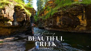 Fly Fishing a BEAUTIFUL Creek in Colorado!