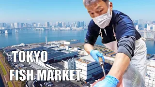 Tokyo Fish market - the biggest in the world