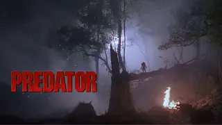 PREDATOR AMBIENCE  FOR RELAXING, STUDYING/ JUNGEL SOUNDS, FIRE CRACKLING/ 2 HOURS SOUNDSCAPE