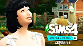 THE SIMS 4 ЗАГОРОДНАЯ ЖИЗНЬ - ДРУЖБА С ПТИЦАМИ ДАЕТ СВОИ БОНУСЫ!