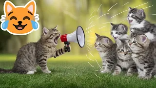 🤣💕 Funny Cat Clips with Hilarious Sound Effects 💥😹 Part 3