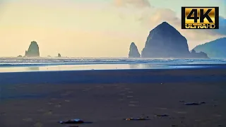 Relaxing Ocean Side LOFI BEATS | 4K
