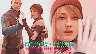 » dusk till dawn (markus x north; detroit become human gmv)