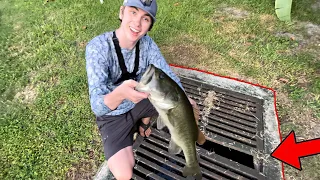 SEWER FISHING FOR BIG FISH!!!