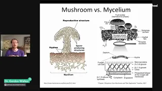 Fascinated By Fungi: Dr. Gordon Walker presents "Mushrooms 101" for the Cal Academy NightSchool