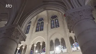 Révéler le mystère : à Notre-Dame de Paris, l'aménagement sonore et visuel commence
