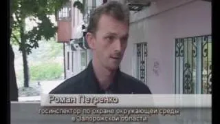 02 10 09 Незаконная вырубка деревьев